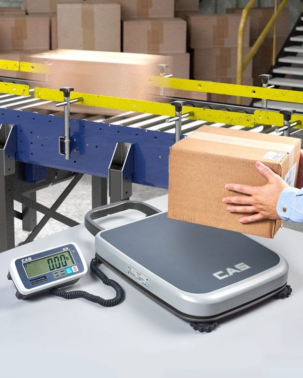 CAS PB - Portable Platform Bench Scale - 60 Kg, 200 Kg - Image 3
