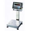 CAS CI200SC Waterproof Platform Bench Scale->CI-200S-LP-4560-150 / 45 x 60 CM / Up to 150 Kg / 10 gm