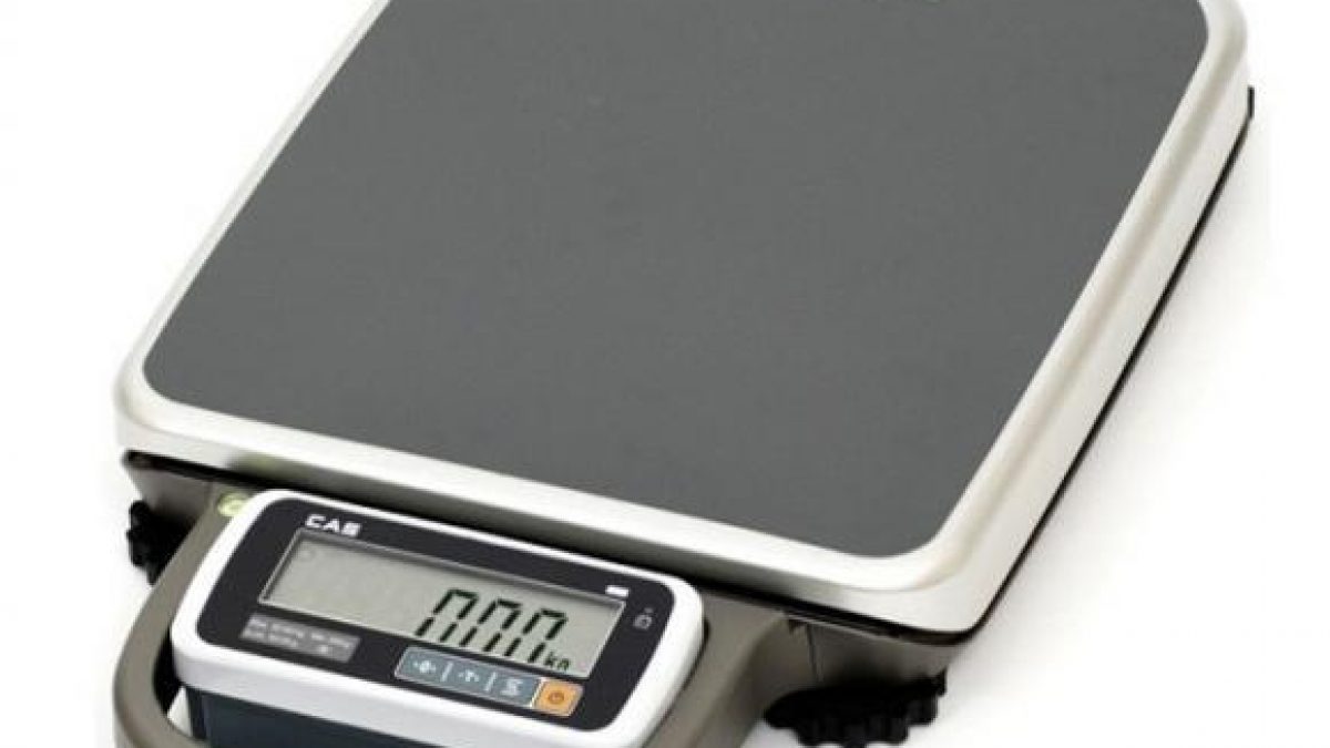 Balance De Sol CAS DL-300 - Capacité 300 Lbs, Précision 0.1 Lbs, Neuve