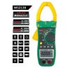 Mastech Clamp Meter